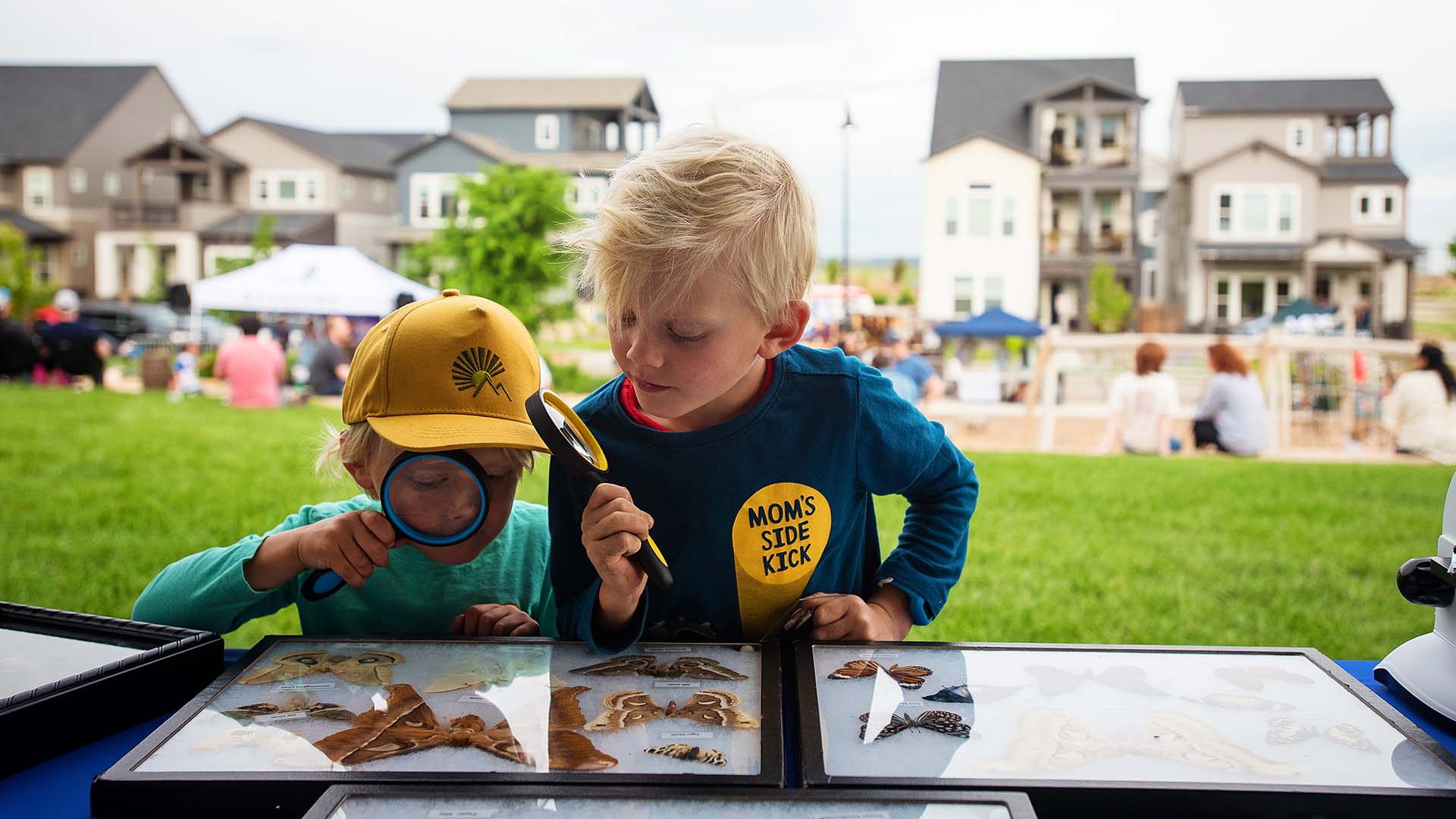 kids looking at butterflies at a community event