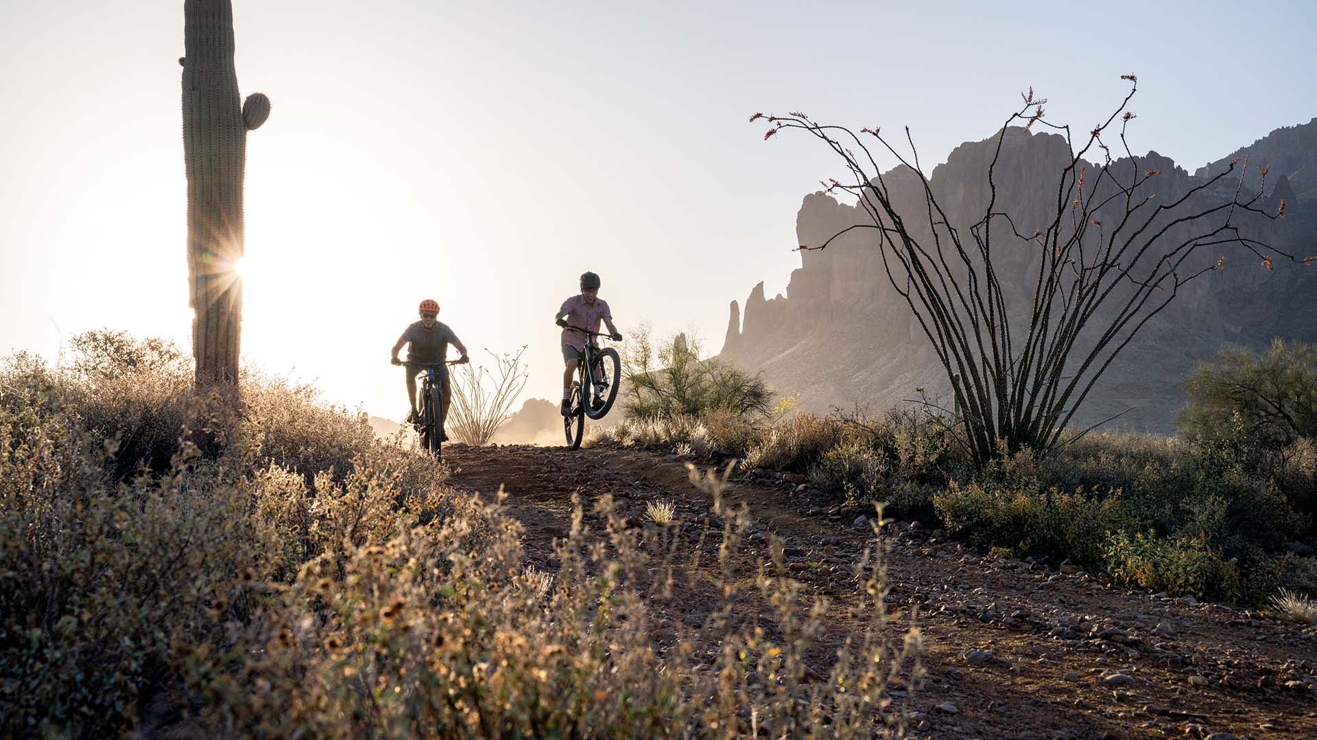 mountain bikers on a desert trail