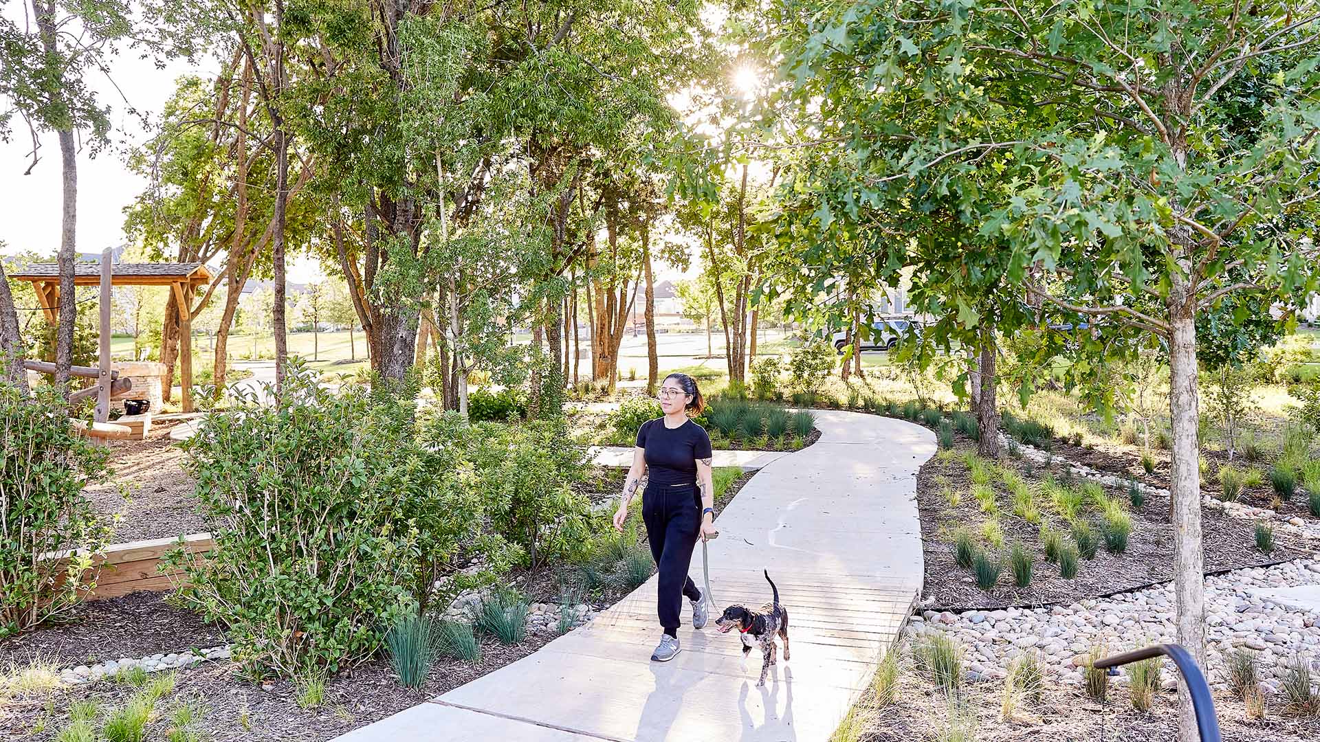 woman walking a dog through the park
