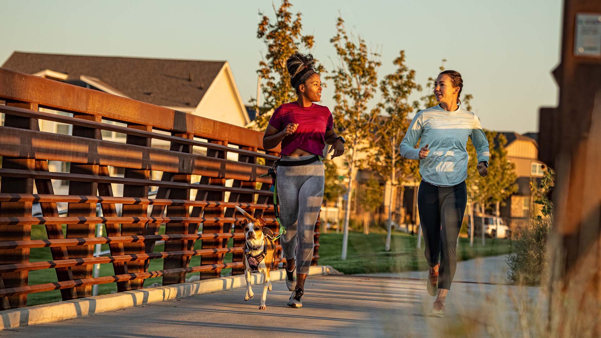 Two people and a dog jogging together across a bridge