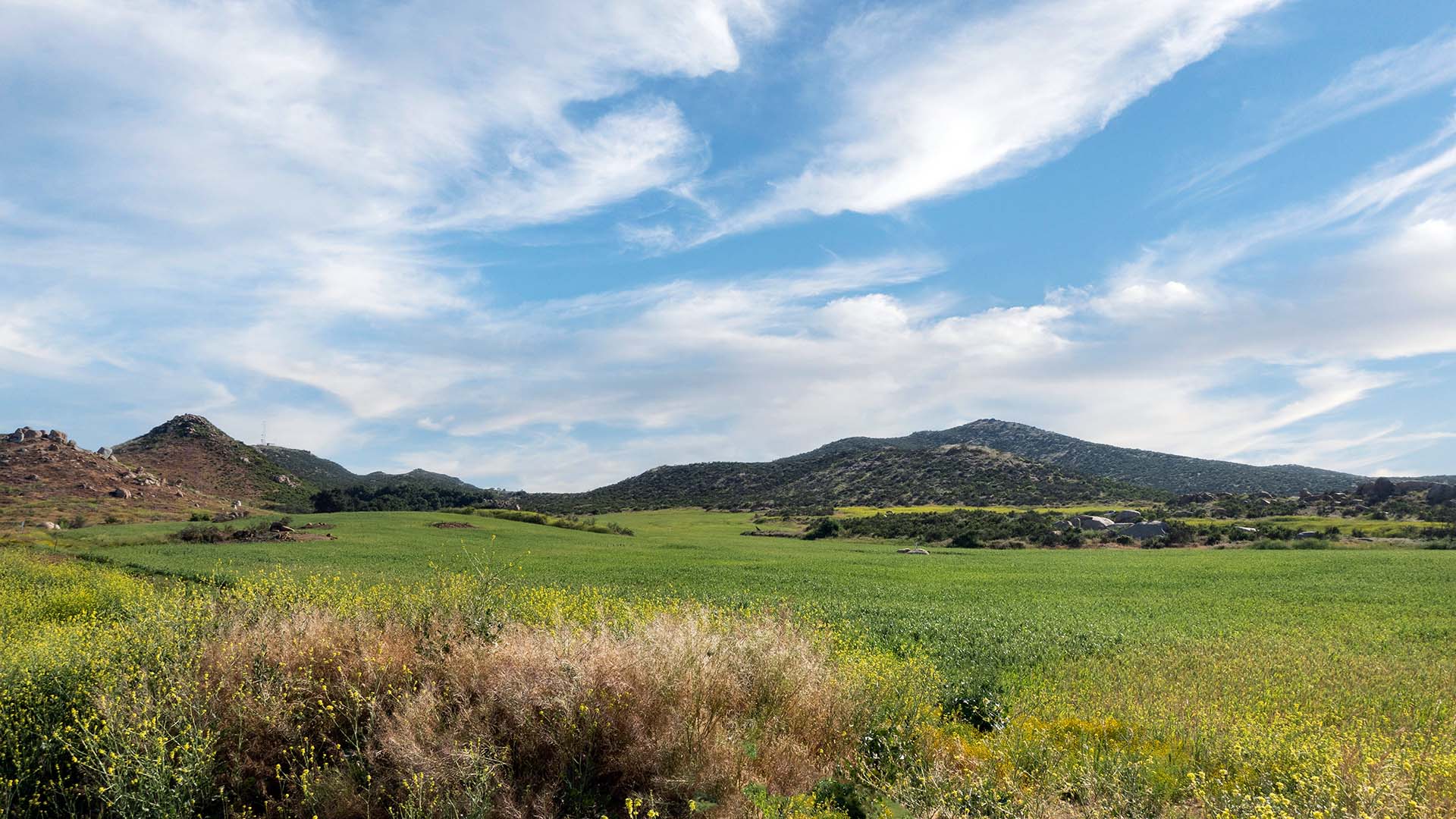 Field in Menifee, California with hills in the background